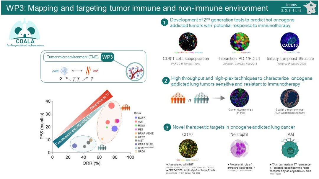 Photo de Highlights WP3: Mapping and targeting tumor immune and non-immune environment