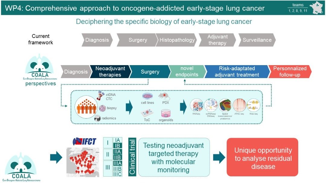 Photo de Highlights WP4: Mapping and targeting tumor immune and non-immune environment