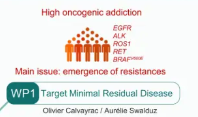 Photo de Highlights WP1  and 2025 Clinical Advances : Overcoming Adaptive Resistance in Targeted Therapy for NSCLC