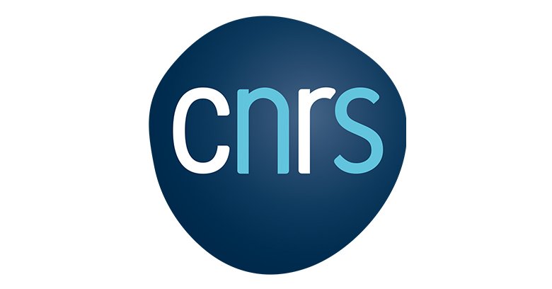 Logo CNRS